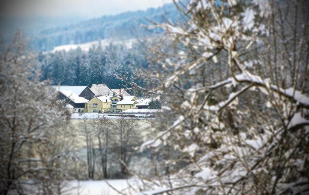 Hotel Der Seehof Hauzenberg Extérieur photo