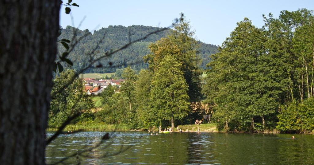 Hotel Der Seehof Hauzenberg Extérieur photo